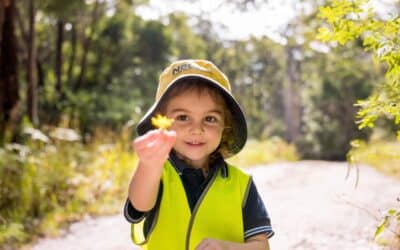 Bush Kindy an exciting learning adventure for Pre-K at NBCS