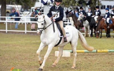 Equestrians represent Northern Beaches Christian School