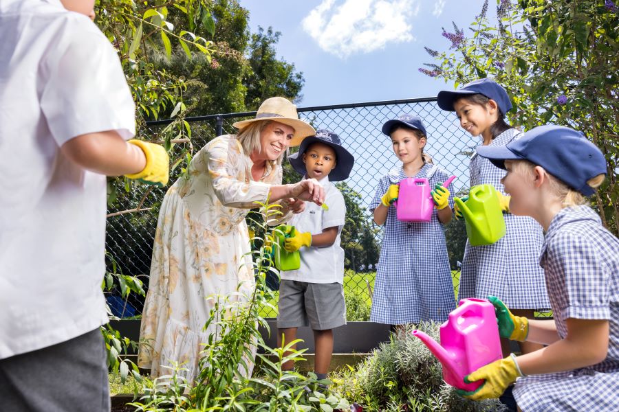 The importance of curiosity in learning 