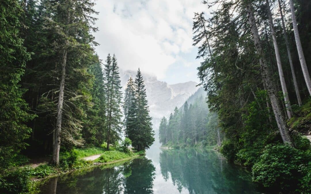 Is there enough evidence for God?