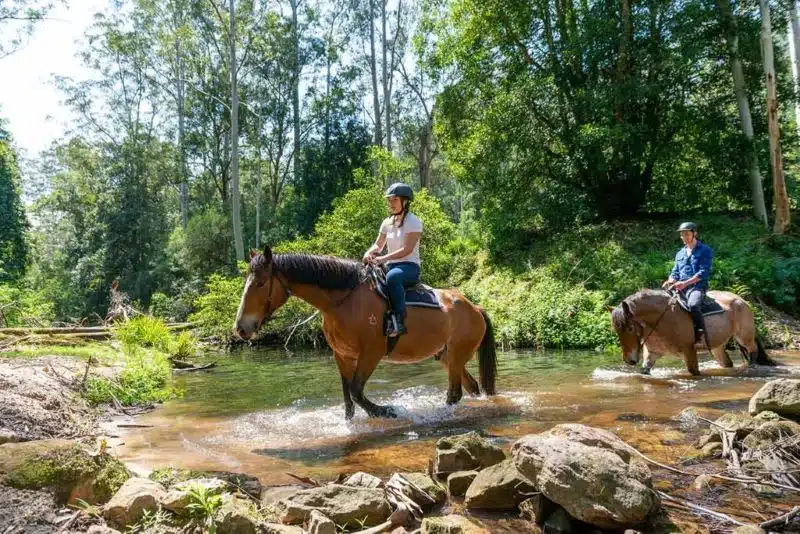 Horse Riding