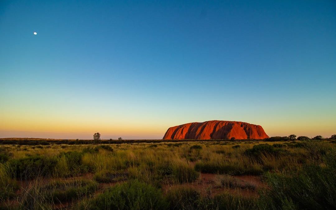 Indigenous Immersion
